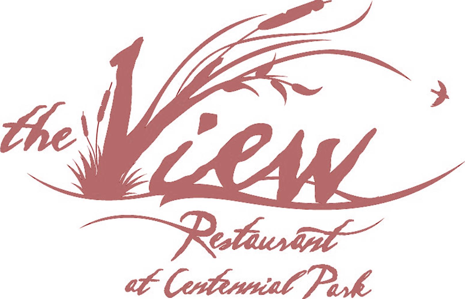 The View Logo