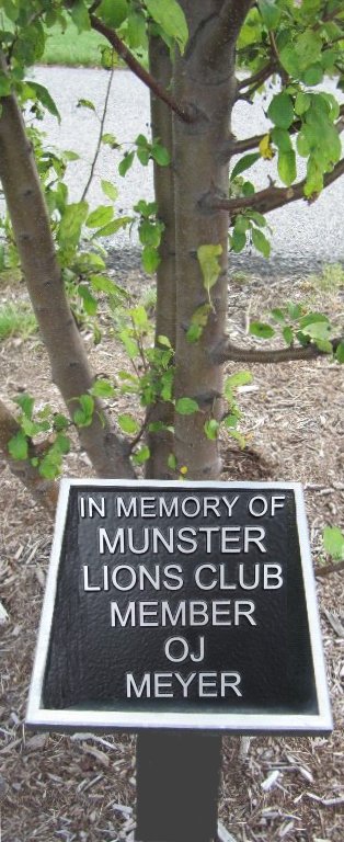 Memorial Tree