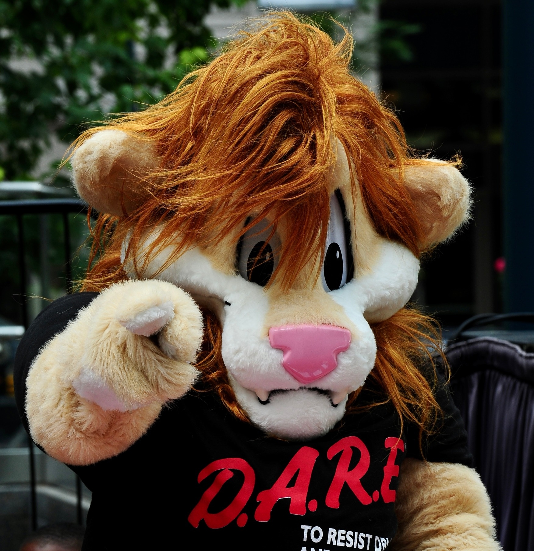 Daren the Lion