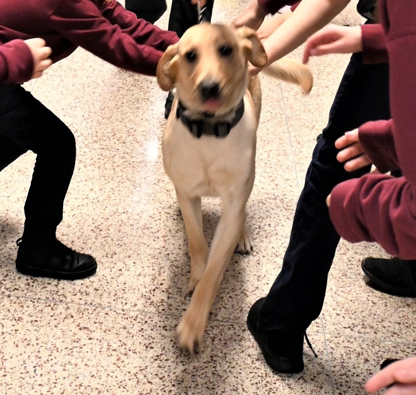 Image for news story: St. Thomas More School Holds Fundraiser for Munster P.D.'s K-9 Unit