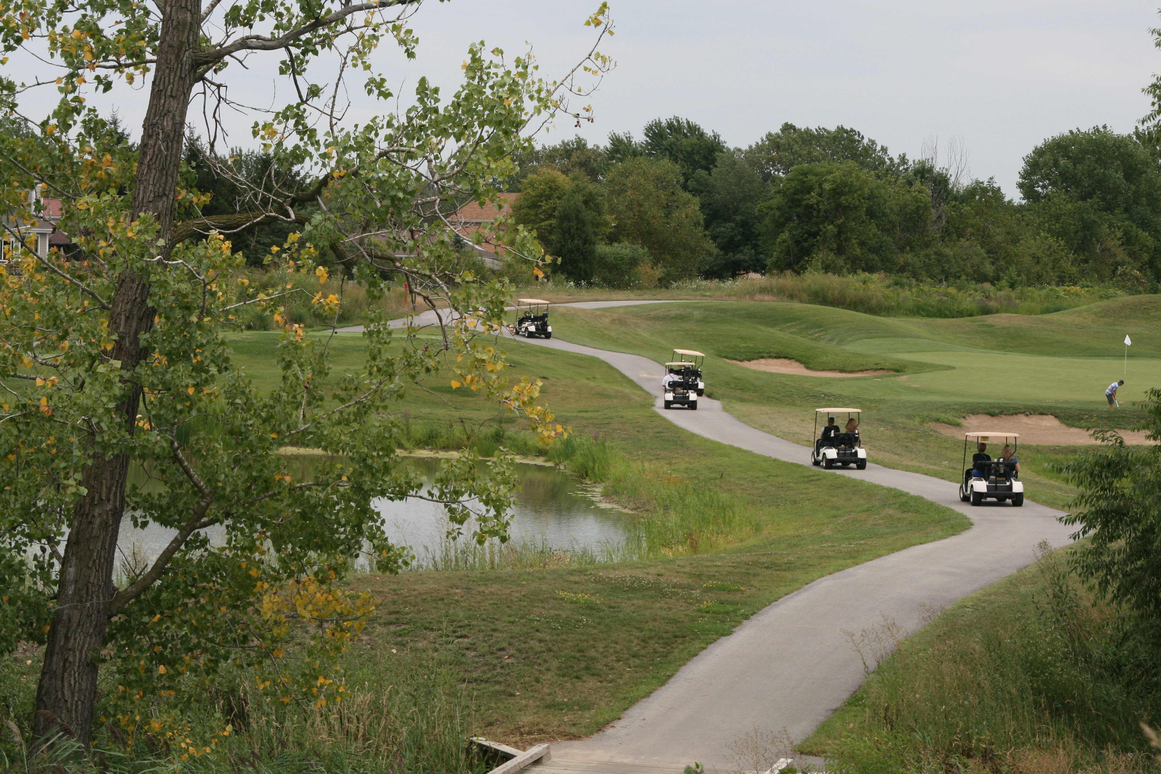 Slideshow / Centennial Park Golf Course / Town of Munster, IN